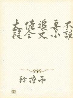 大佬追妻不择手段全文小说阅读全文