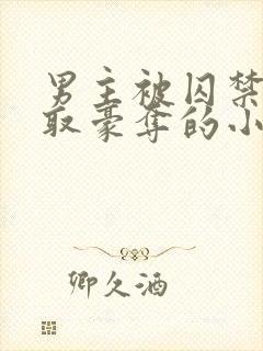 男主被囚禁被强取豪夺的小说笔趣阁