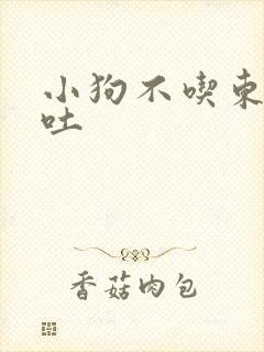 小狗不吃东西呕吐