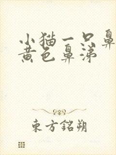 小猫一只鼻子流黄色鼻涕封面