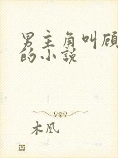 男主角叫顾长生的小说