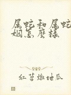 属蛇和属蛇的婚姻怎么样