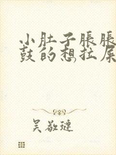 小肚子胀胀的鼓鼓的想拉屎拉不出来