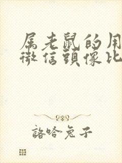 属老鼠的用什么微信头像比较好封面