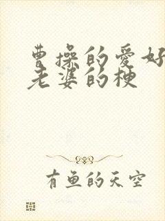 曹操的爱好别人老婆的梗