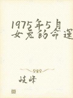 1975年5月女兔的命运