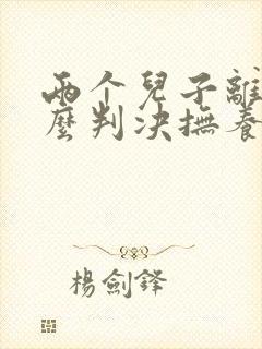 两个儿子离婚怎么判决抚养权