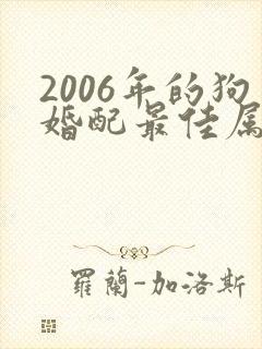 2006年的狗婚配最佳属相封面