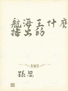 航海王什么时候播出的