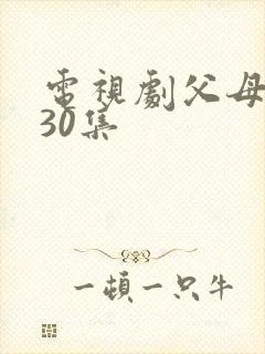 电视剧父母爱情30集