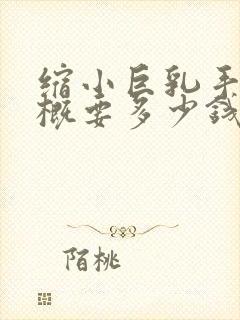 缩小巨乳手术大概要多少钱