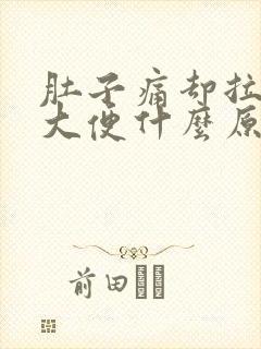 肚子痛却拉不出大便什么原因封面