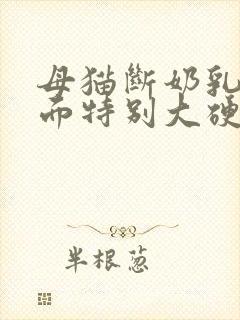 母猫断奶乳房里面特别大硬块封面