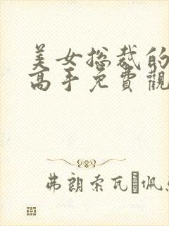 美女总裁的贴身高手免费观看