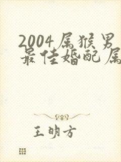 2004属猴男最佳婚配属相