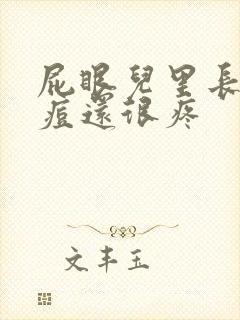 屁眼儿里长了颗痘还很疼