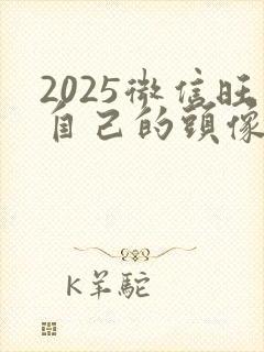 2025微信旺自己的头像男生