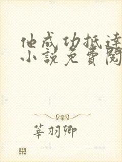 他成功抵达花心小说免费阅读全文