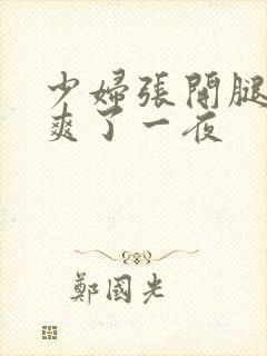 少妇张开腿让我爽了一夜封面