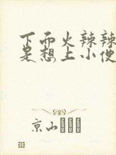 下面火辣辣的老是想上小便,怎么原因?