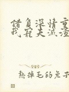 错负深情重生后我宠夫灭渣小说