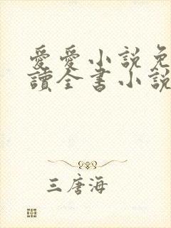 爱爱小说免费阅读全书小说乡村封面