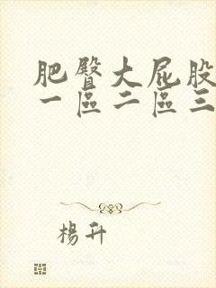 肥臀大屁股熟妇一区二区三区