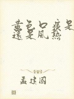 黄色口痰是风寒还是风热