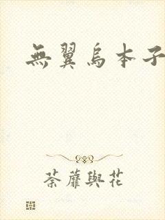 无翼乌本子封面