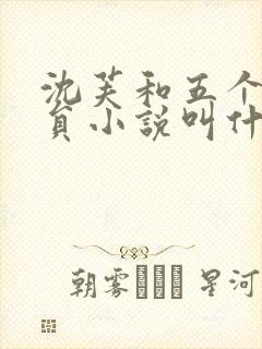 沈芙和五个消防员小说叫什么