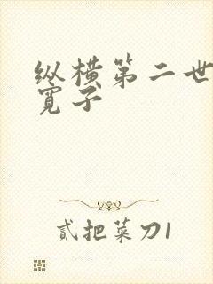 纵横第二世界 宽子封面