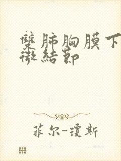 双肺胸膜下多发微结节