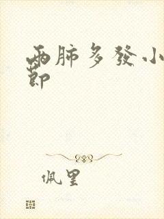 两肺多发小类结节