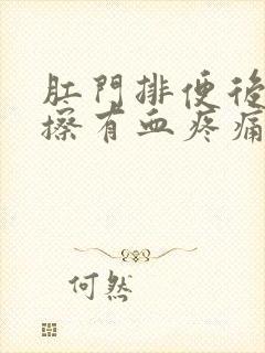 肛门排便后用纸擦有血疼痛感