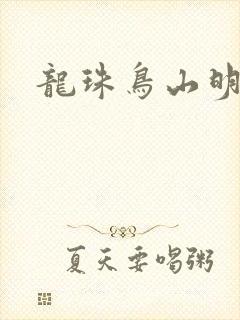 龙珠鸟山明