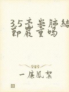 3.5毫米肺结节严重吗封面