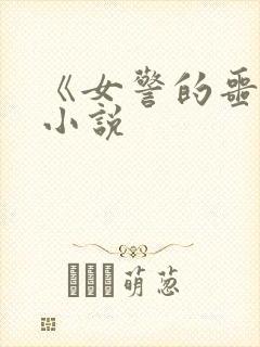 《女警的噩梦》小说封面