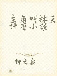 主角叫林天的叫什么小说