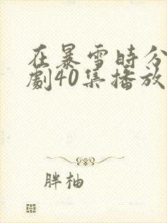 在暴雪时分电视剧40集播放封面