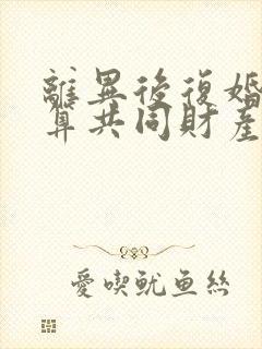 离异后复婚财产算共同财产封面