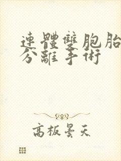 连体双胞胎姐妹分离手术