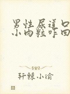 男性尿道口上张小肉粒咋回事