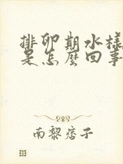 排卵期水样白带是怎么回事