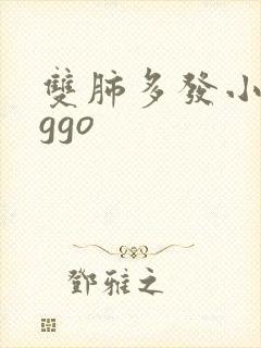 双肺多发小结节ggo