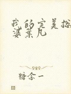 我的完美总裁老婆叶凡