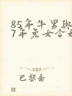 85年牛男与87年兔女合婚吗