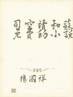 司空靖和苏月汐免费的小说笔趣阁