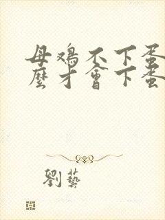 母鸡不下蛋吃什么才会下蛋