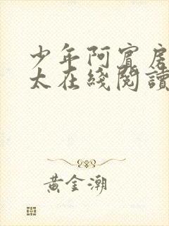 少年阿宾房东太太在线阅读txt