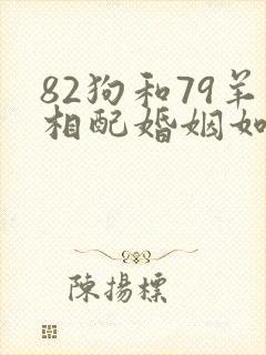82狗和79羊相配婚姻如何